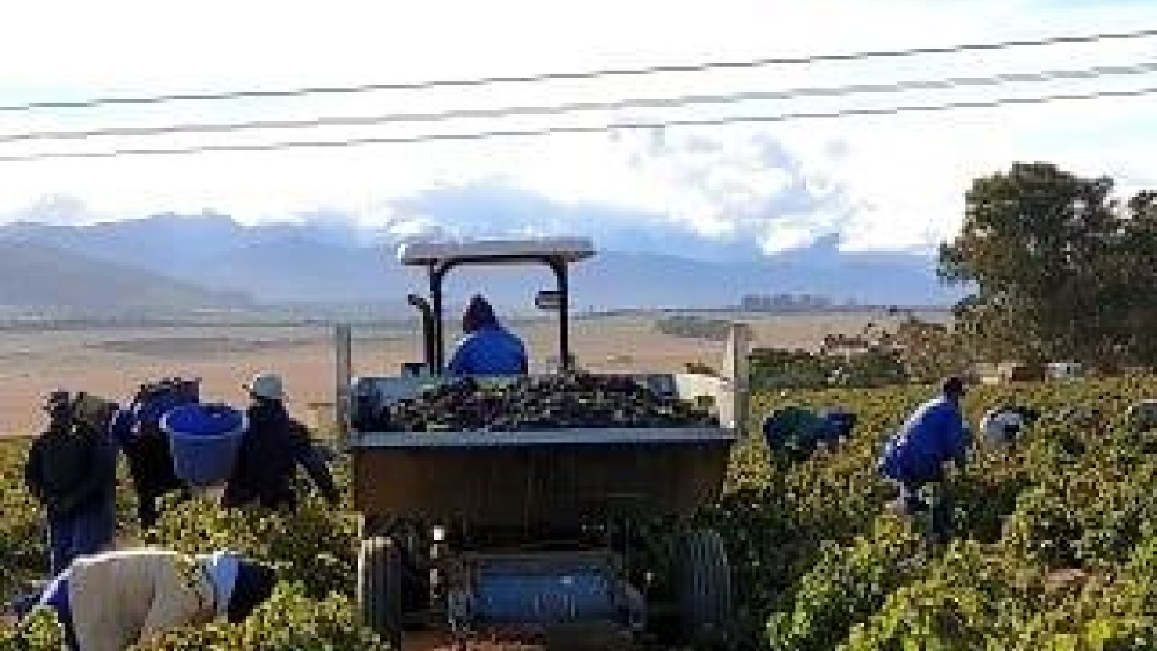 Vinpro Produksieplan opname 2018 Deel 1 Courtneigh Frolicks