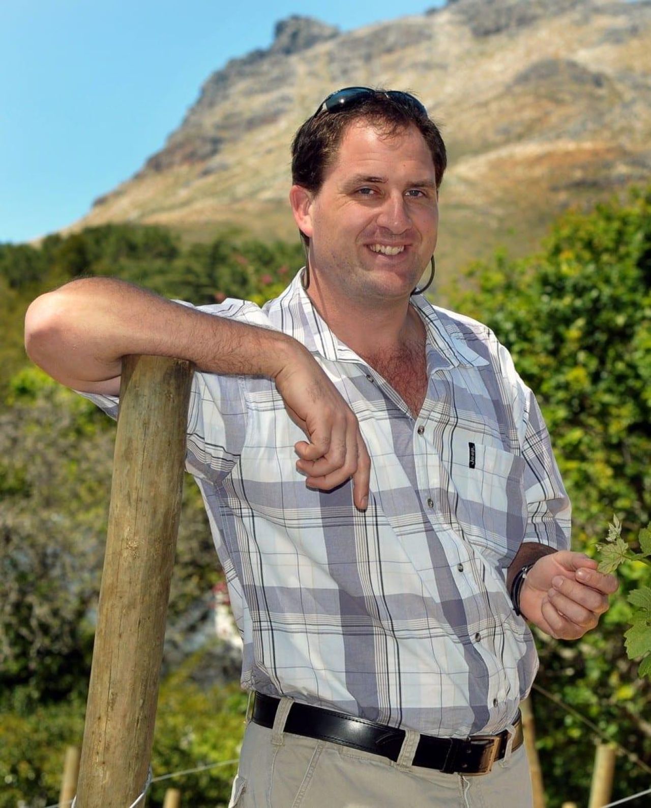 Albert Strever