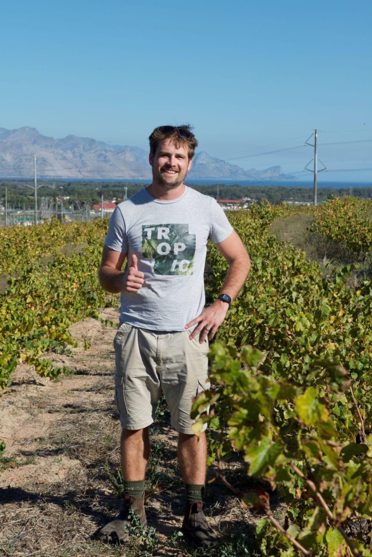 Young Winemaker of the Year Bernhard Bredell Scions of Sinai HR