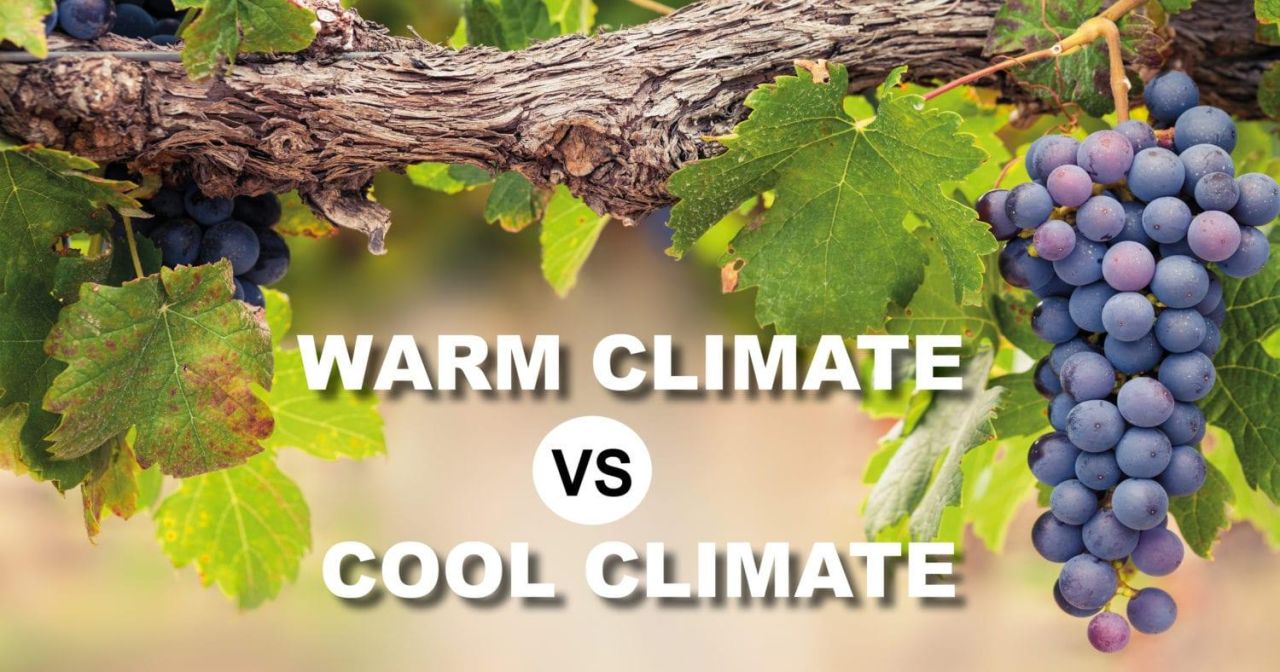 Coolwarm
