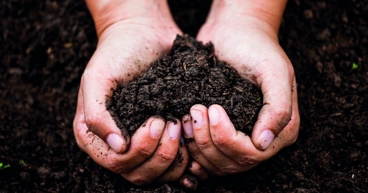 Soil Basies Okt