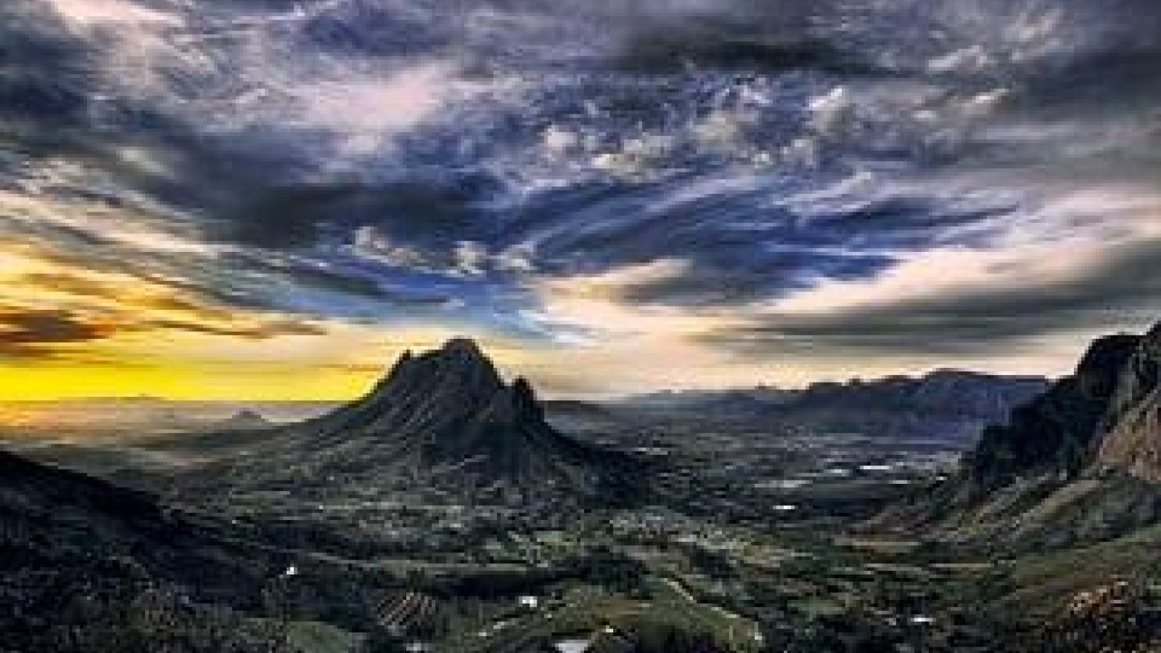 Stellies222