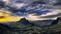Stellies222