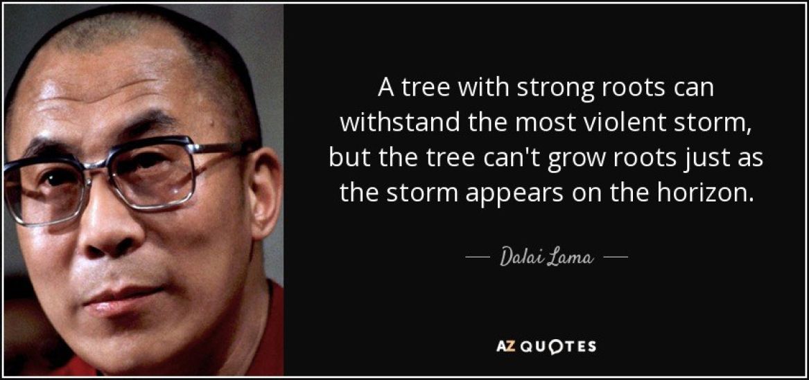 OKT quote a tree with strong roots can withstand the most violent storm but the tree can t grow dalai lama 81 16 45 1
