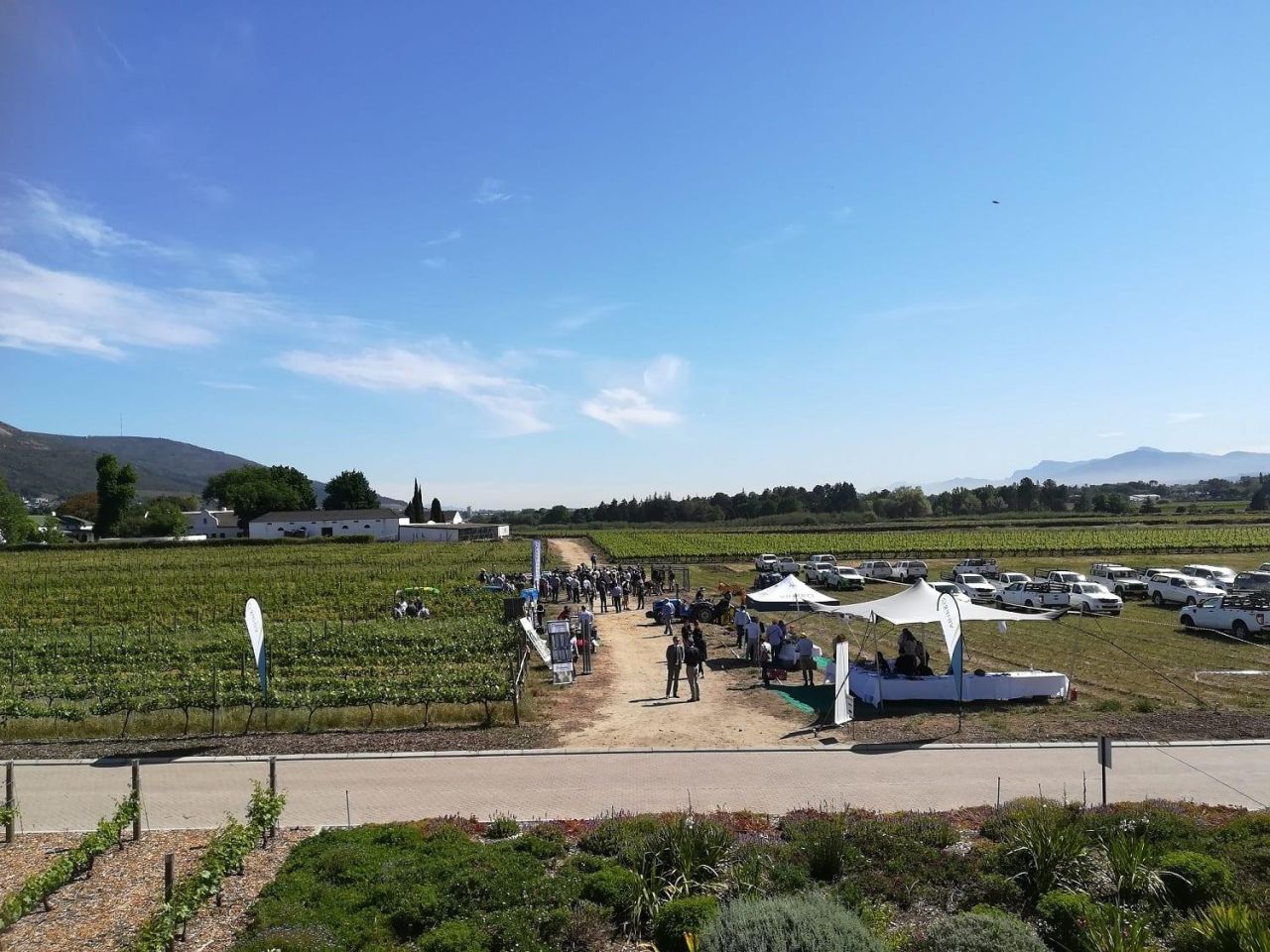 Vinpro Fieragricola1 LR