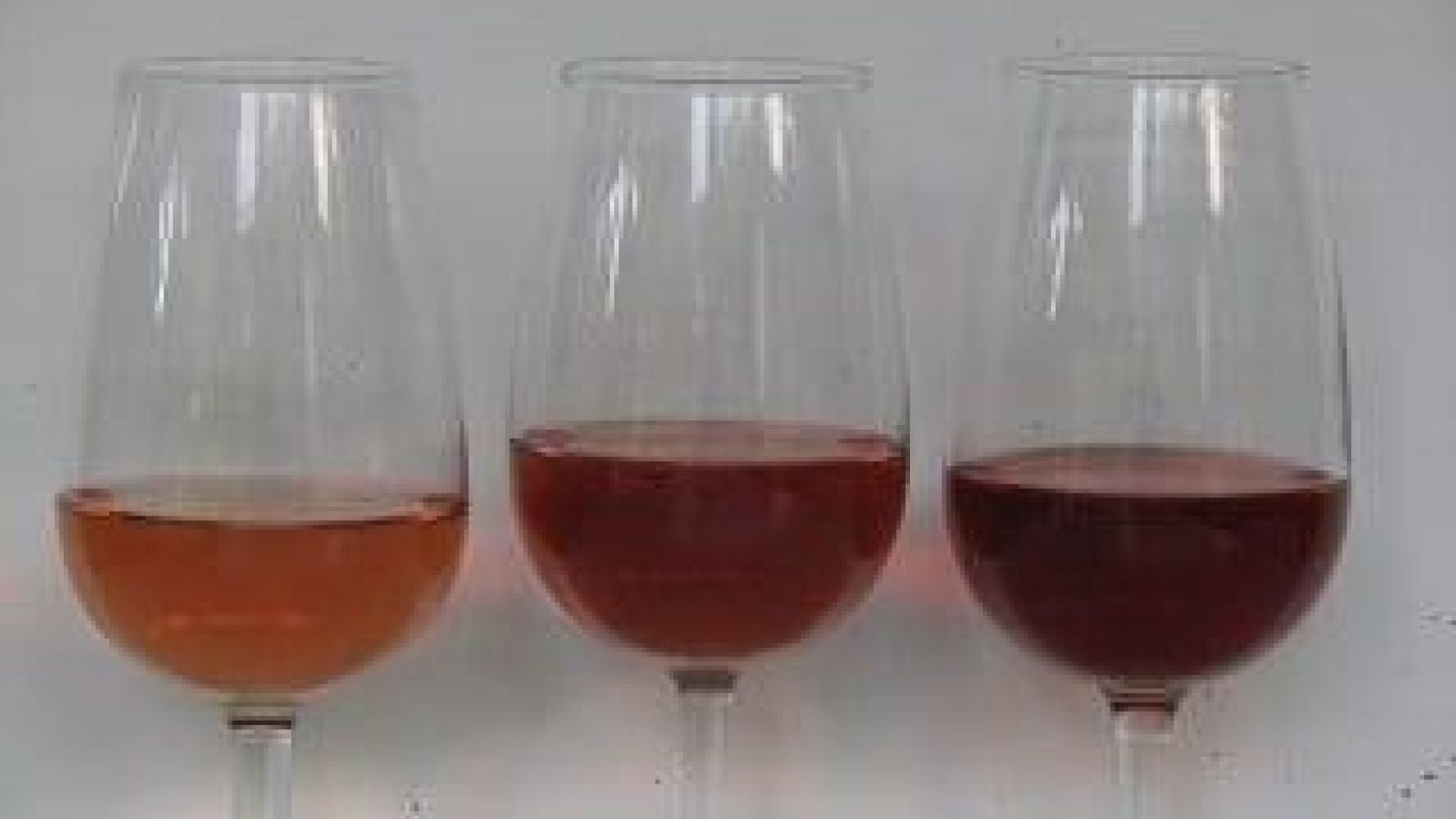 Aktueel in wingerd kelder Foto 2