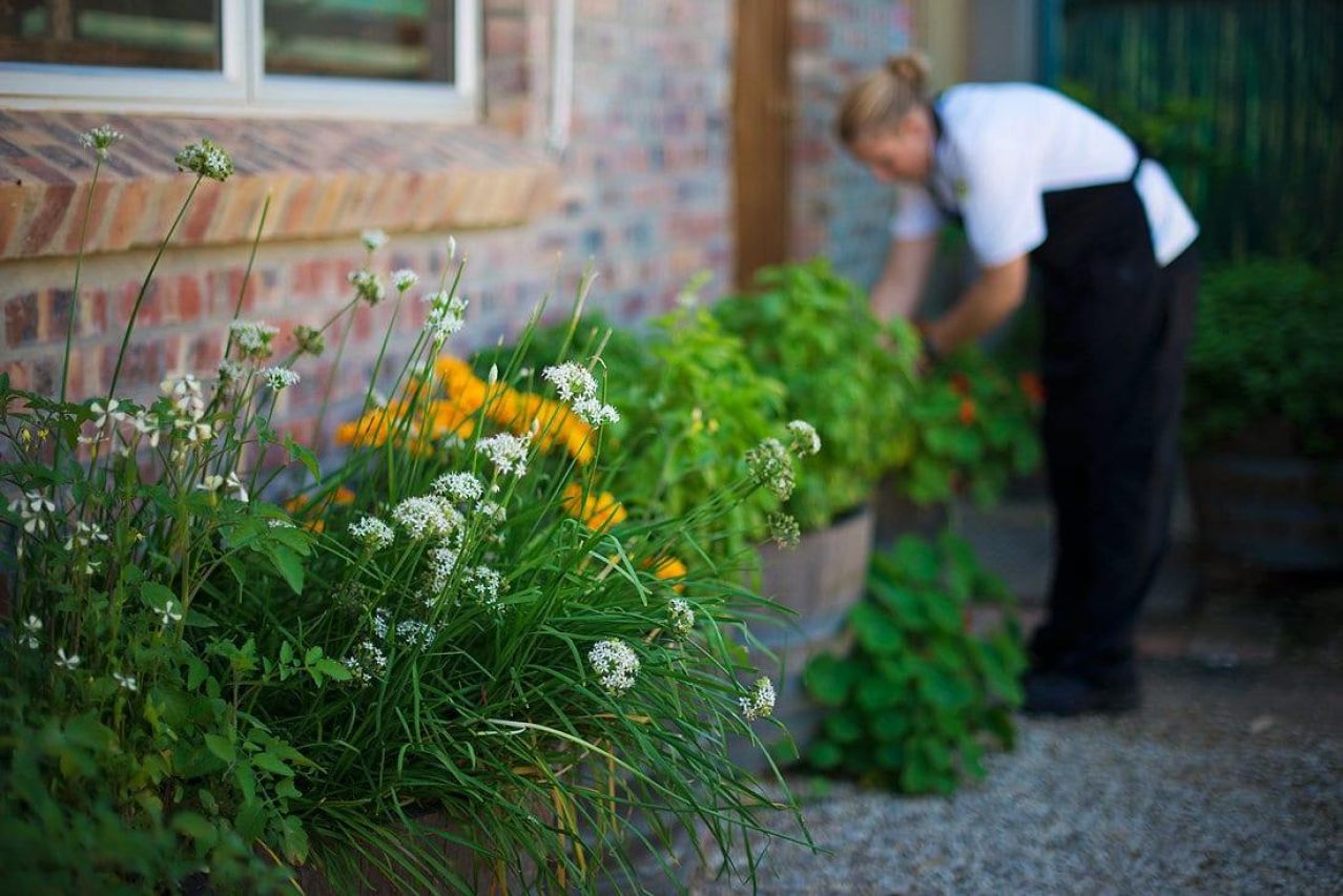 Herb garden Chef
