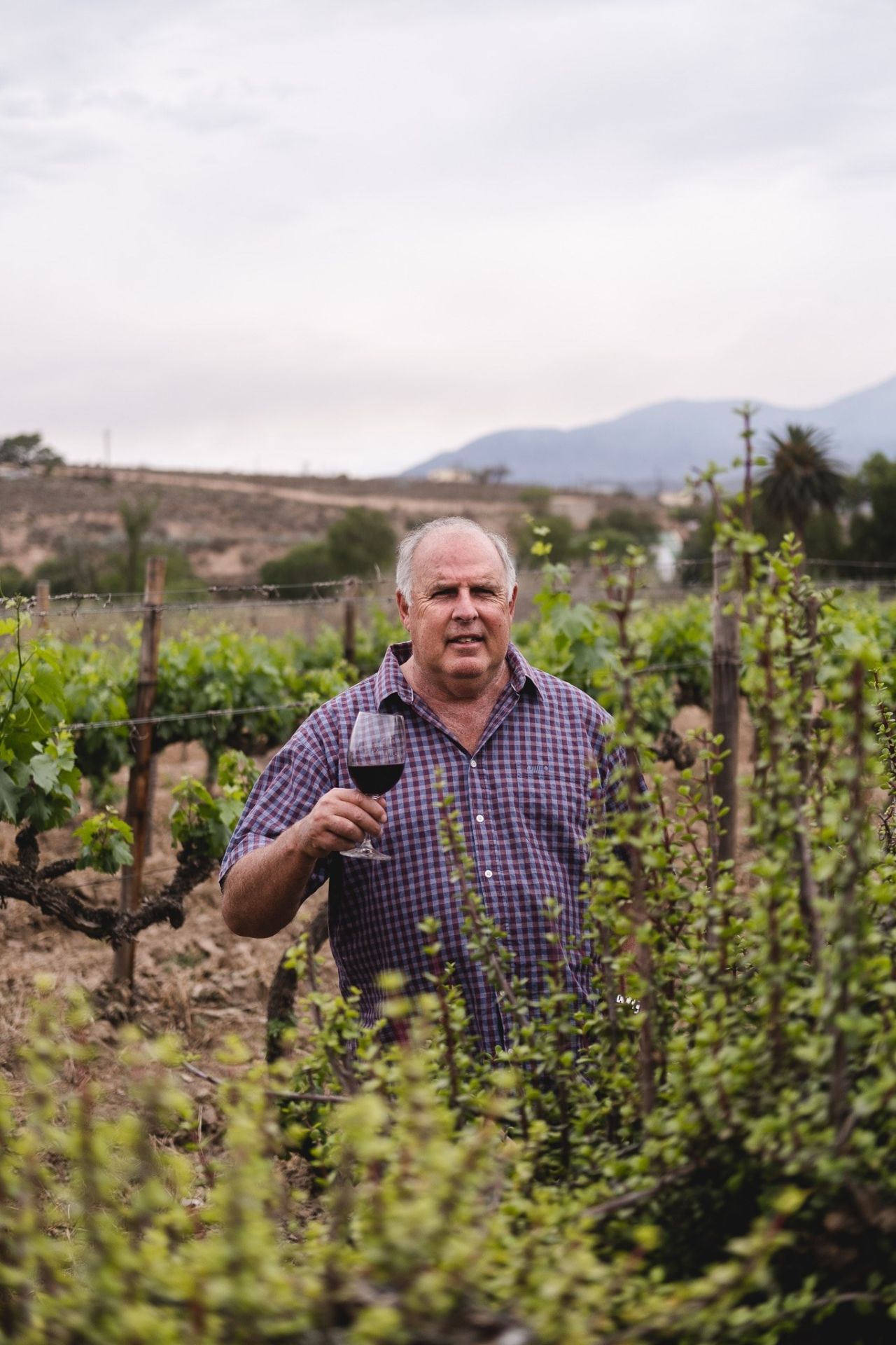 Carel Nel in spekboom Nov 2019