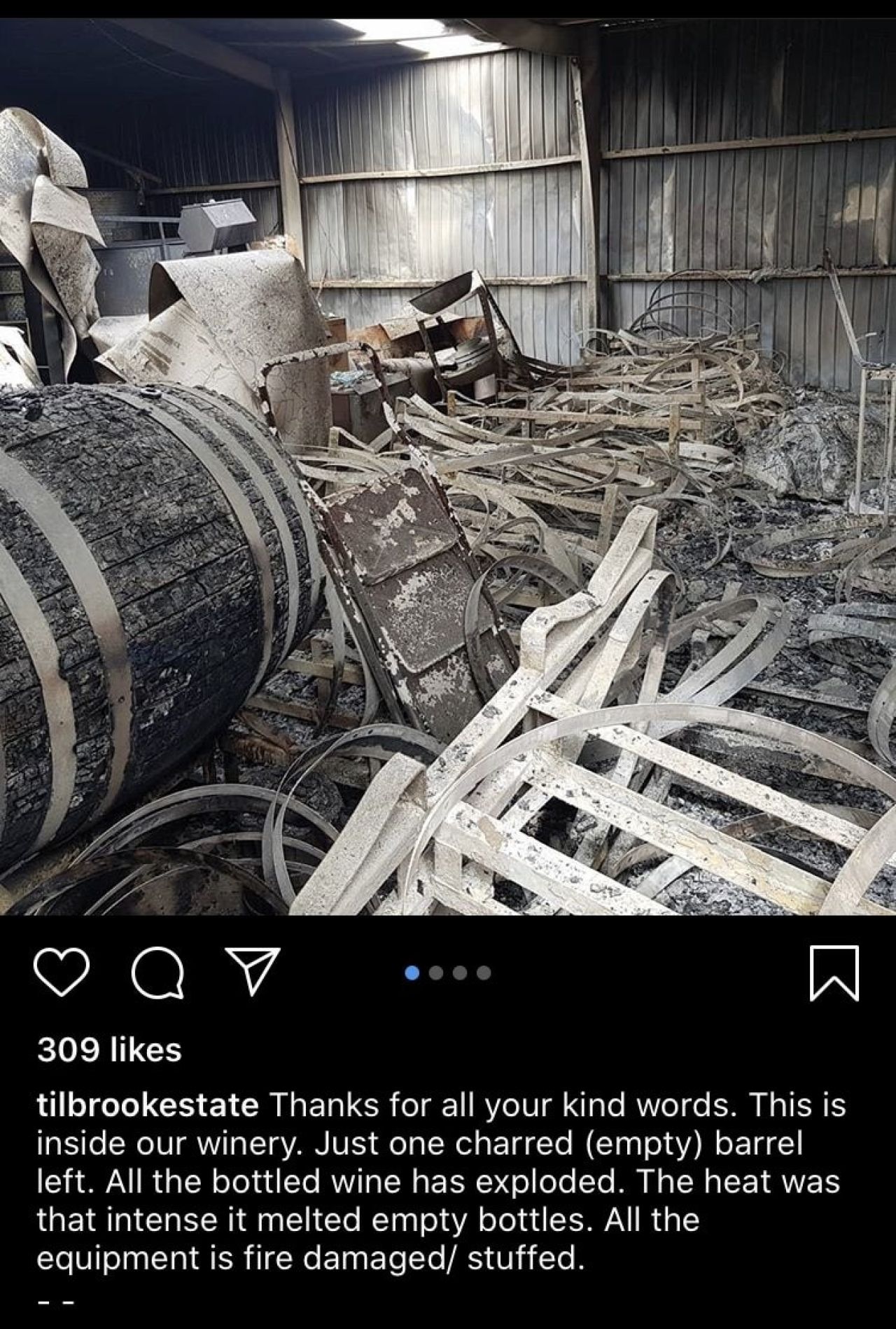 IMG 3139
