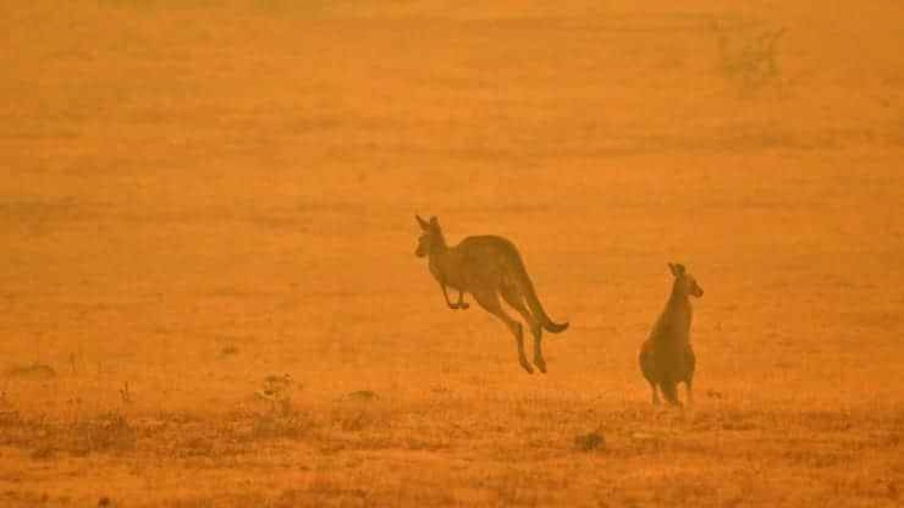 106322624 1578326229469gettyimages 1191555626