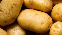 Potato protein