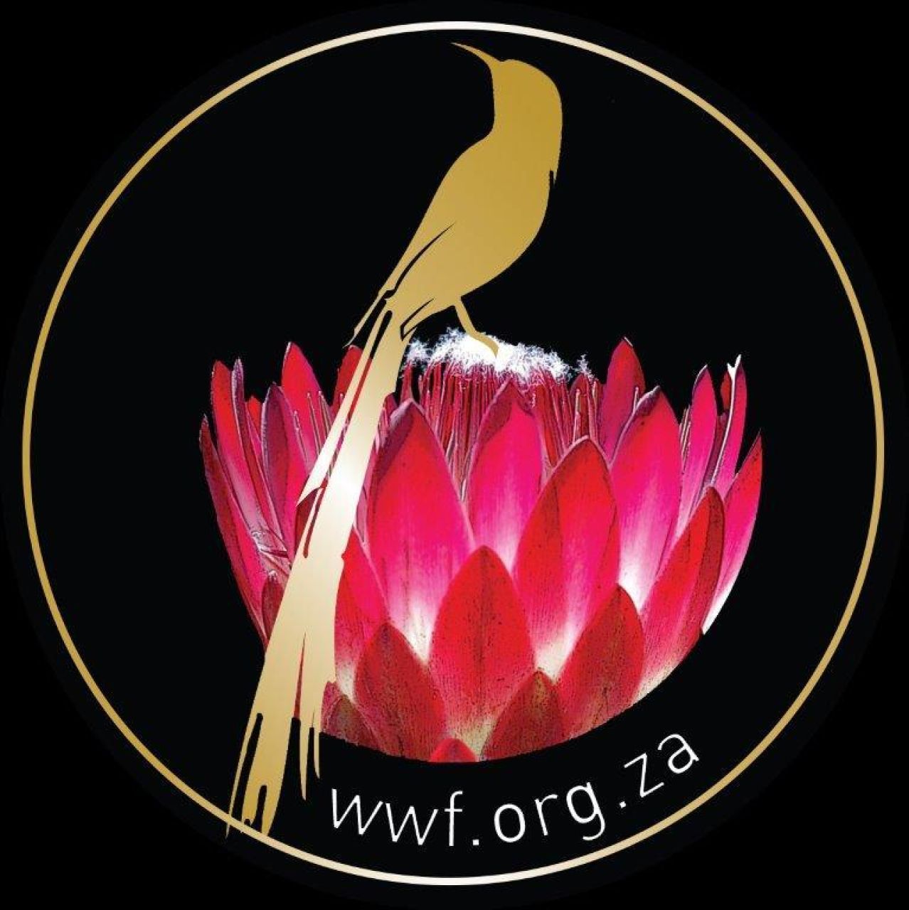 WWF Conservation Seal Logo LR