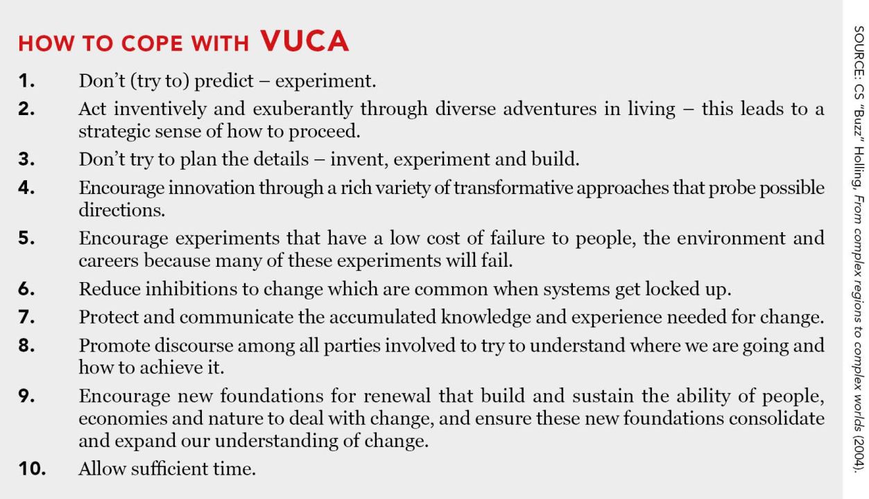 How to cope with VUCA