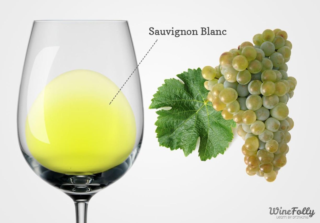 Sauvignon blanc wine and grapes