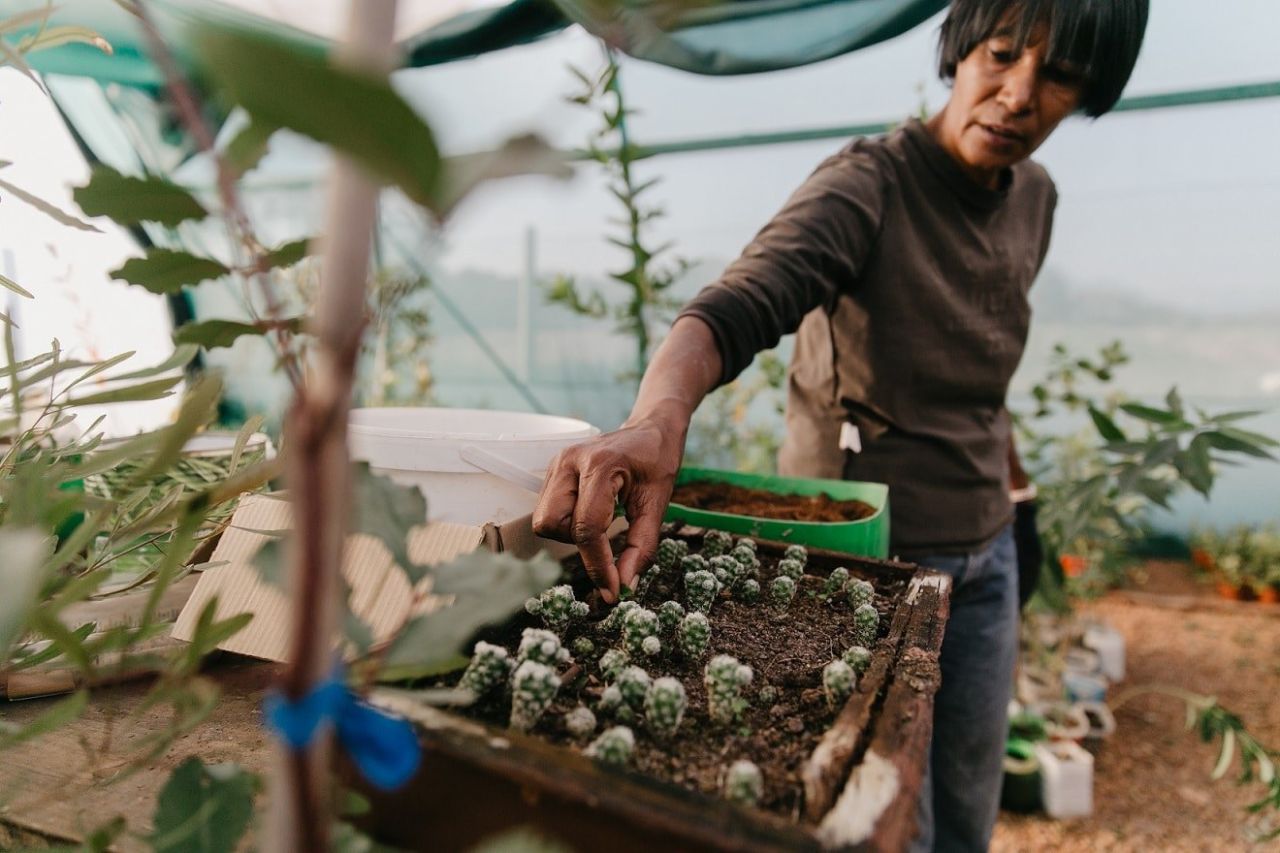 Lesley Joemat Spier Treepreneurs LR 1