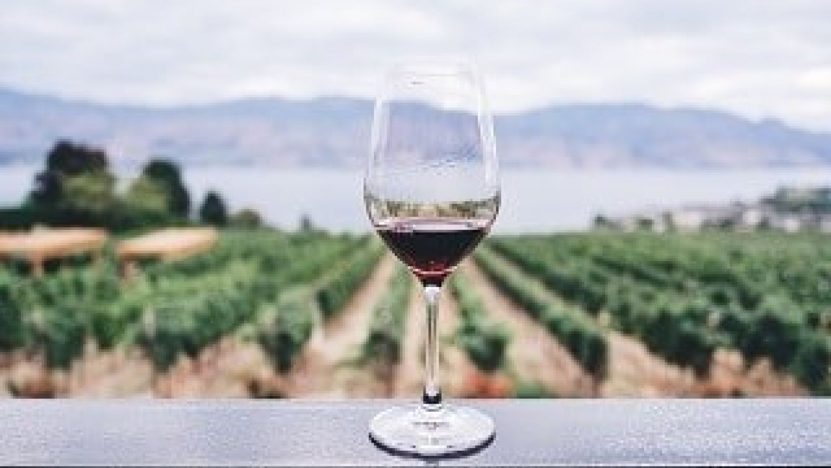 Wine activities web