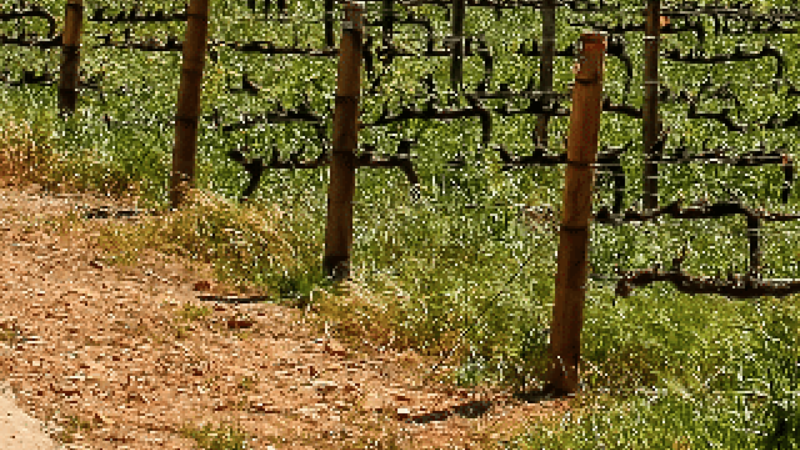Screenshot 2020 06 12 at 10 07 29