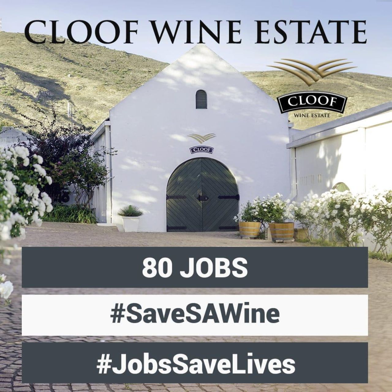 Cloof Wine Estate 80 jobs