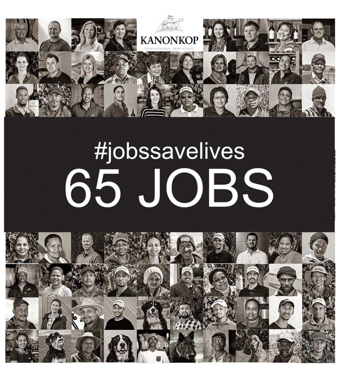 Kanonkop 65jobs