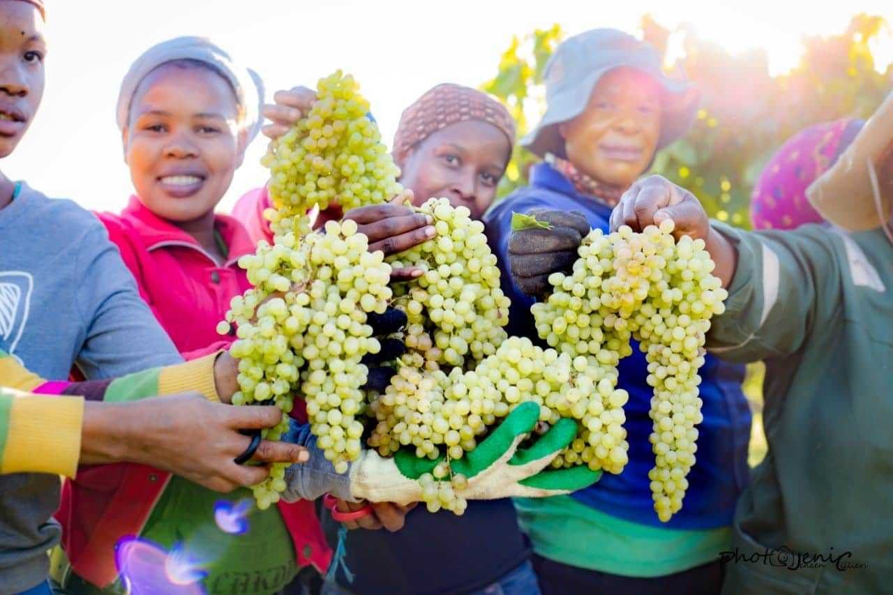 Ghnoemas Landgoed pty Ltd 20 permanent 75 seasonal