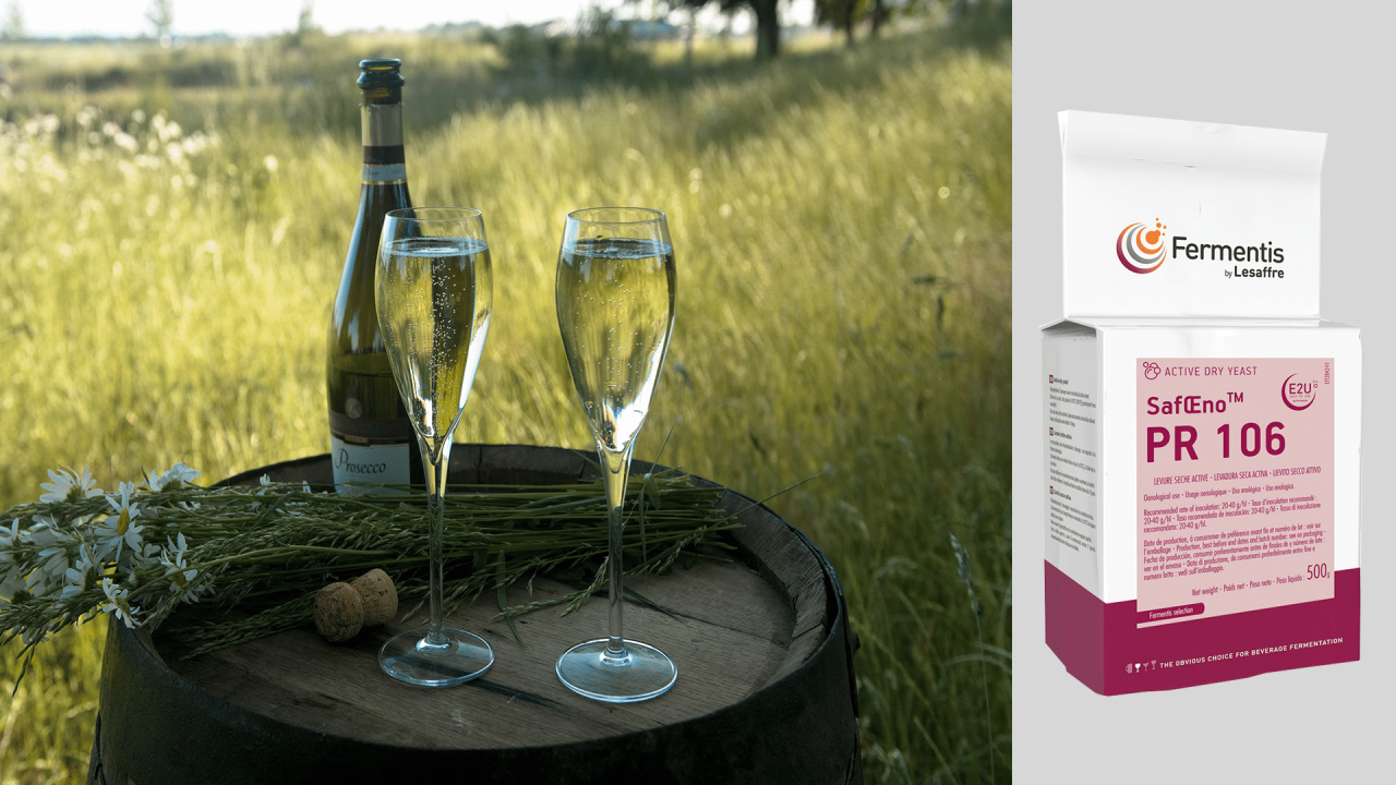Visuel Saf Oeno PR 106 Wine Land