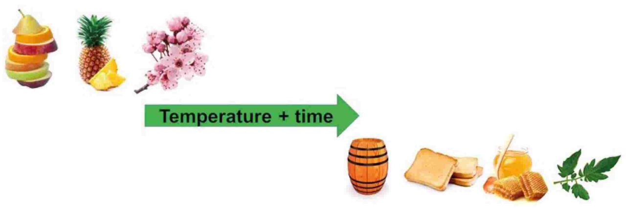 Sensory aspects fig3 Des