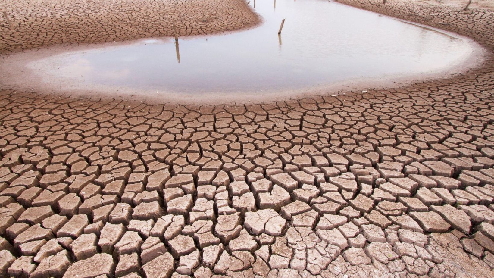 Drought SFI
