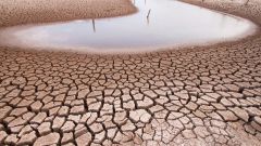 Drought SFI