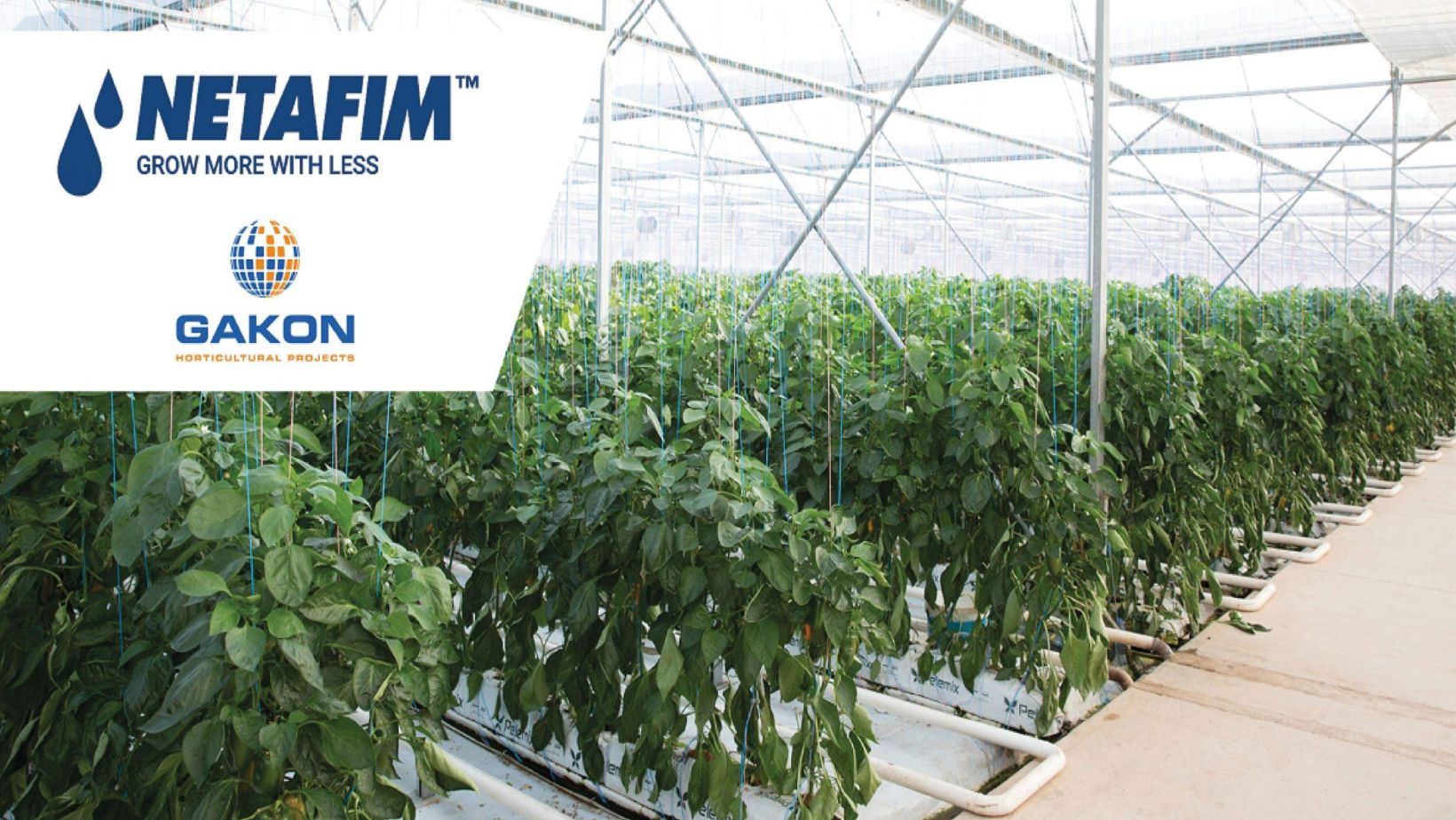 Netafim SFI