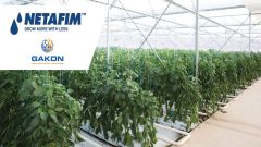 Netafim SFI