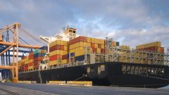 Harbour SFI