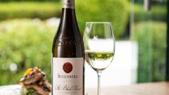 Steenberg SFI