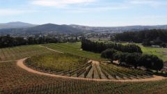 Welgevallen image 1200x628