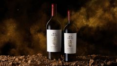 Paardeberg SFI