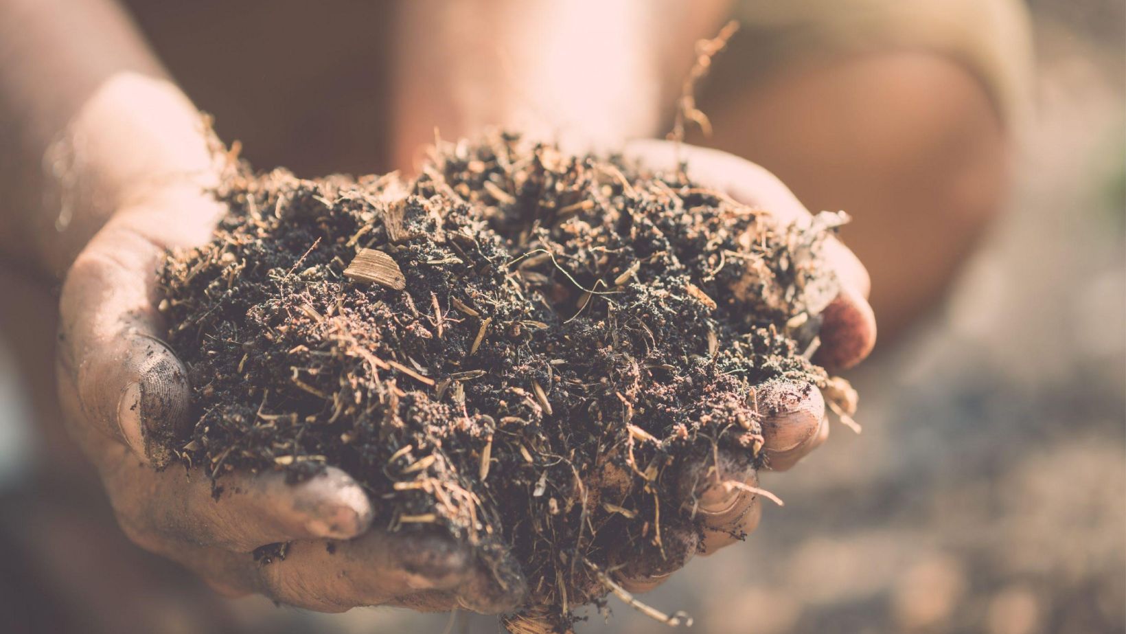 Soil SFI