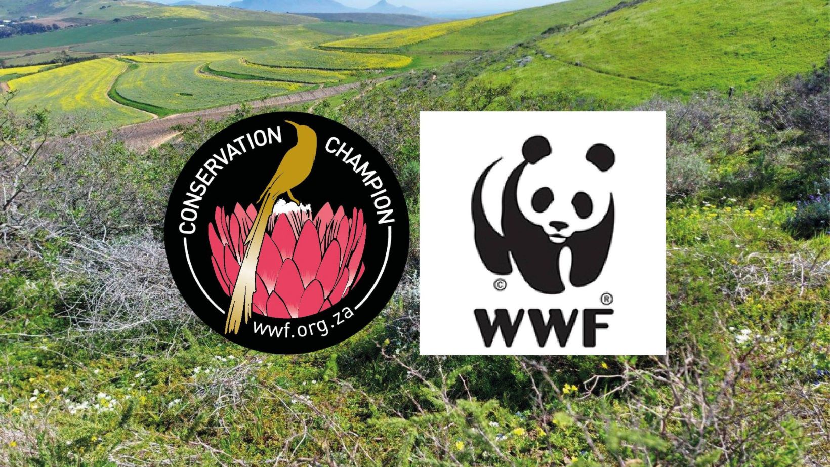WWF SFI
