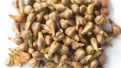 Grape seed powder to improve heat stability in Sauvignon blanc wines