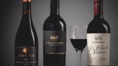 Shiraz SFI