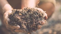 Soil SFI