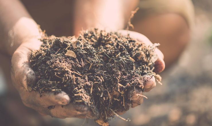 Soil SFI