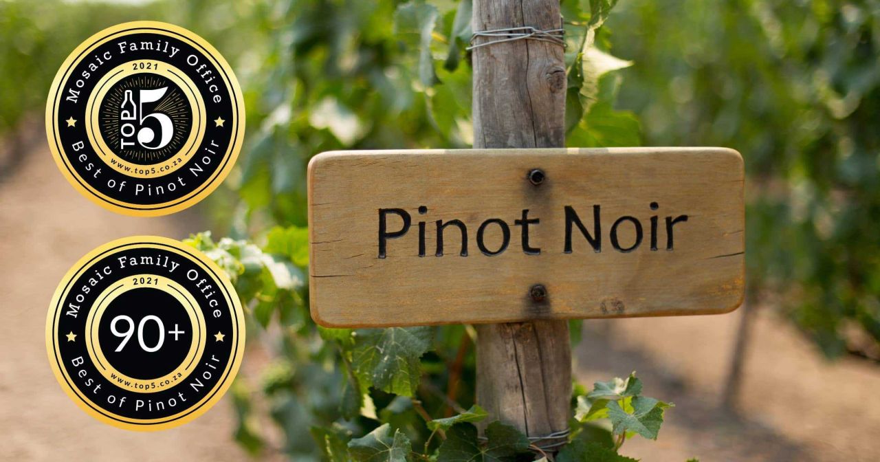 Pinot Article