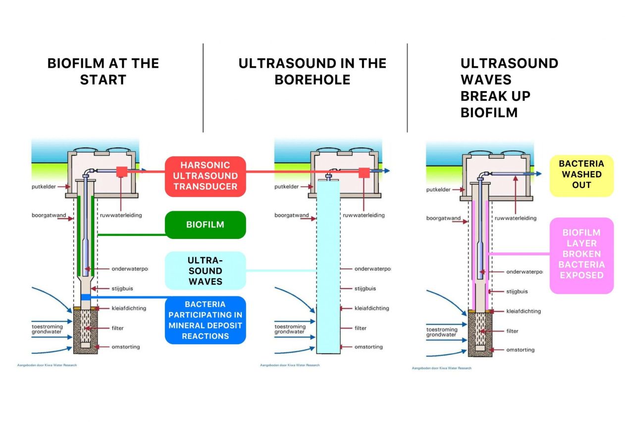 Harsonic SFI