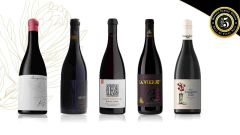 Pinot SFI