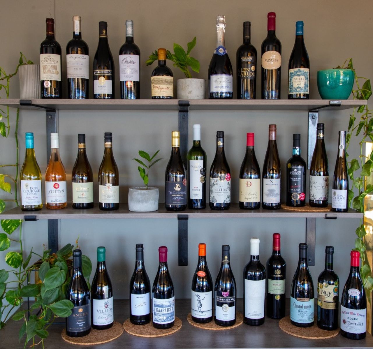 Terroir 8