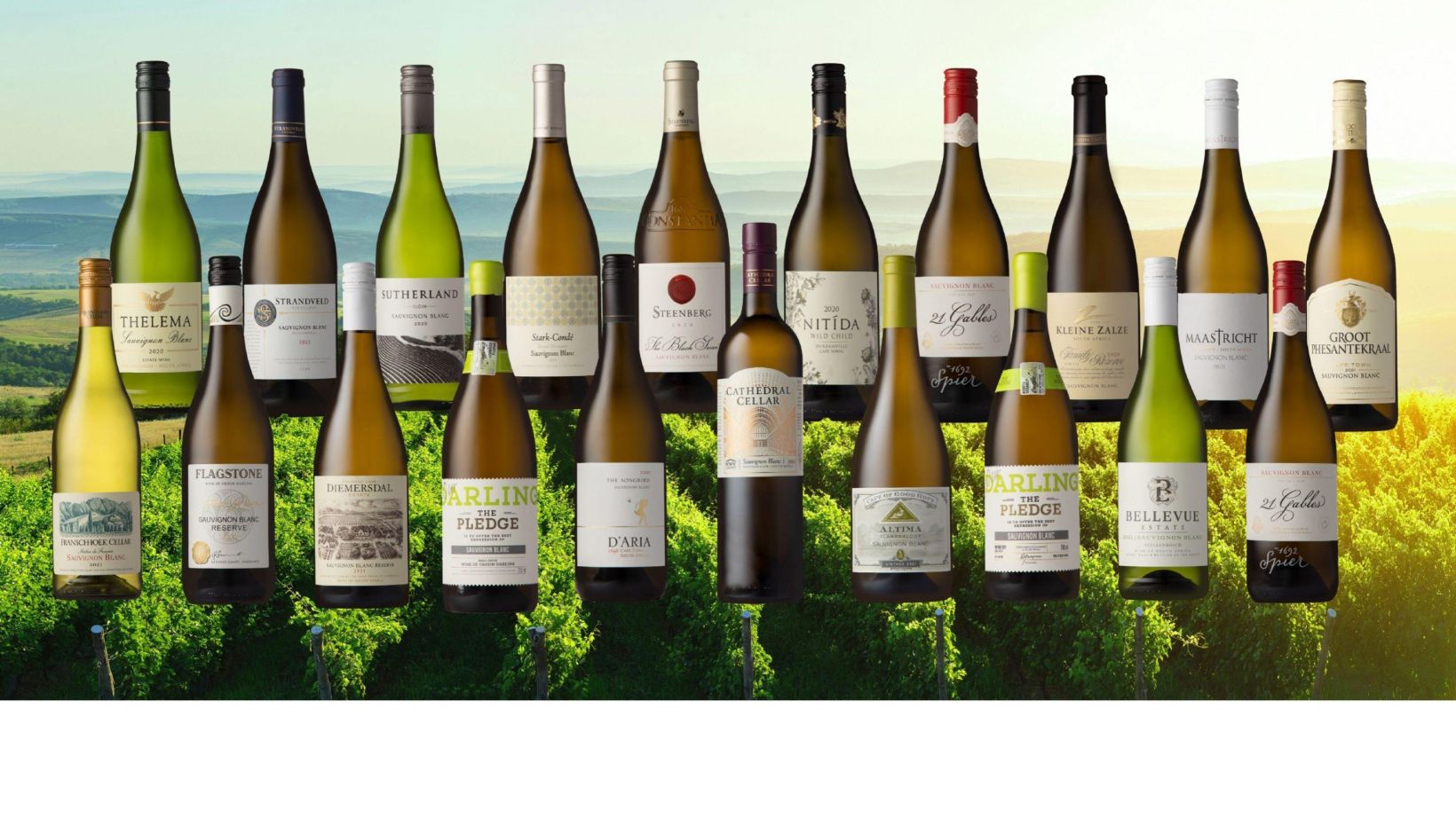 Sauv 3