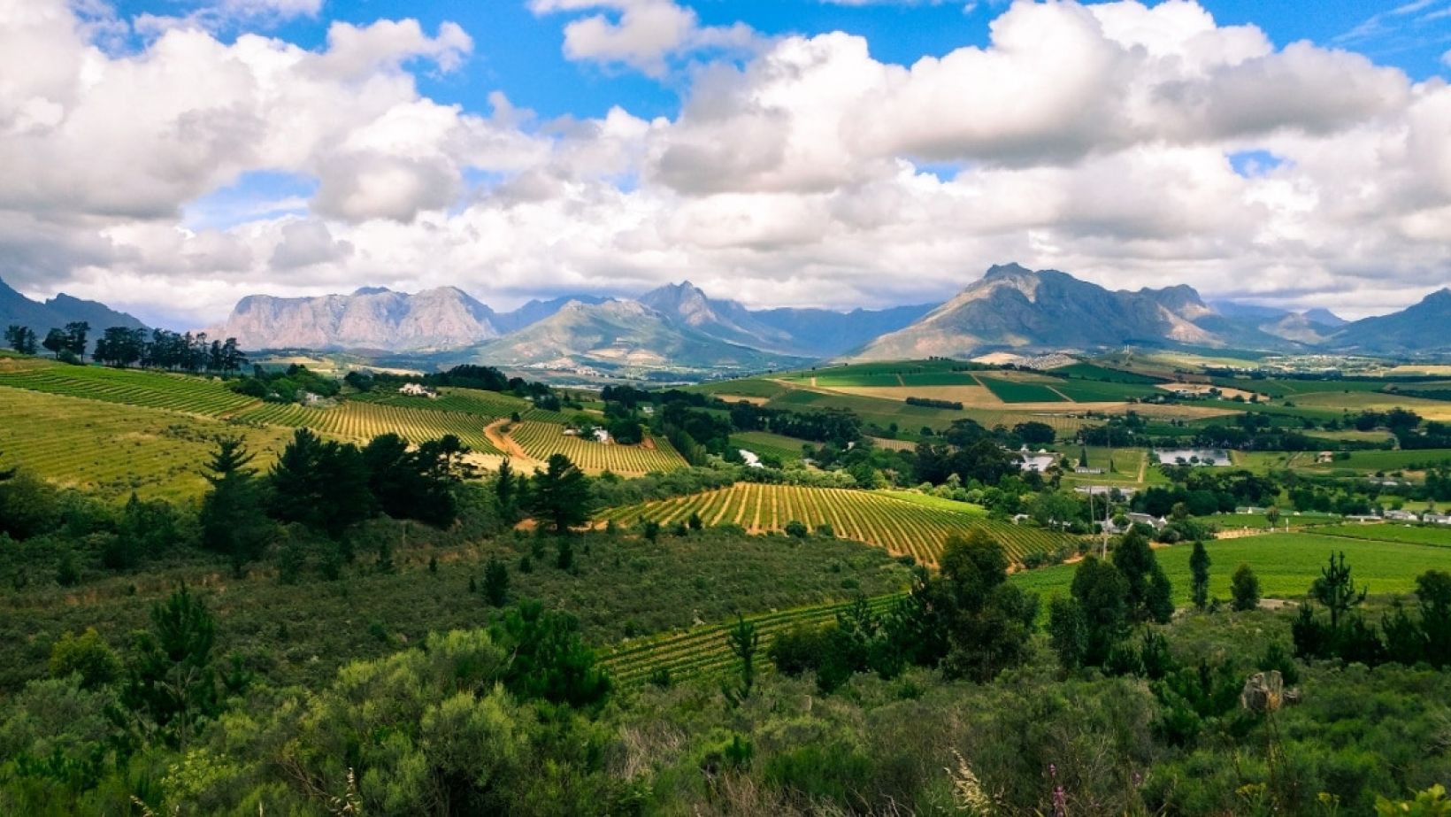 Wineland 1200x630
