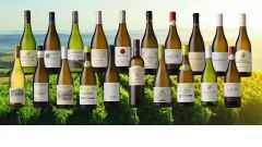 Sauv 3