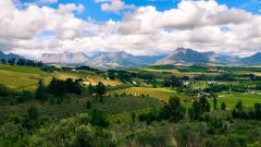 Wineland 1200x630