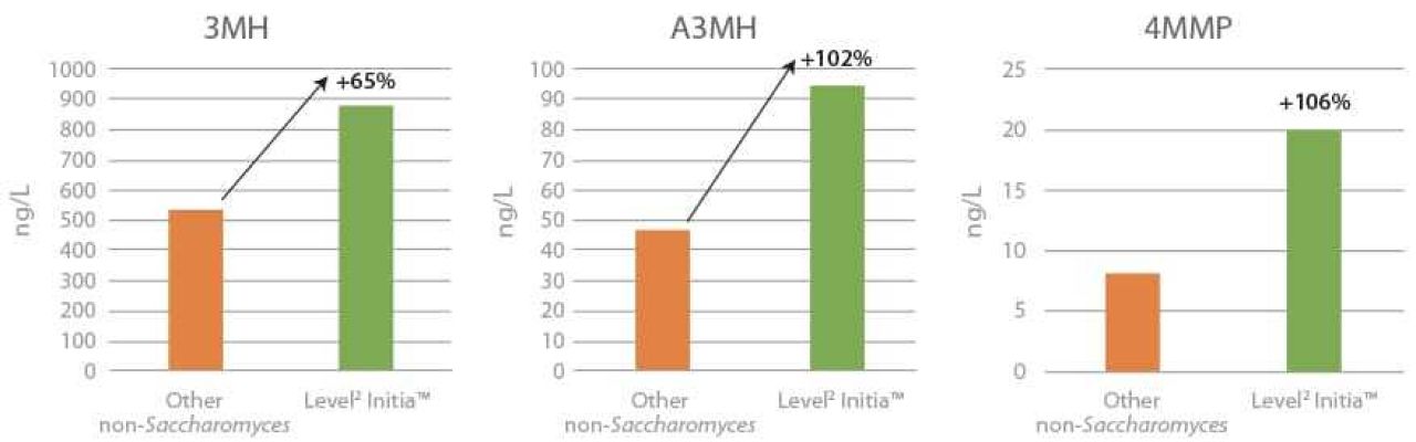 Level2 Initia Figure 3