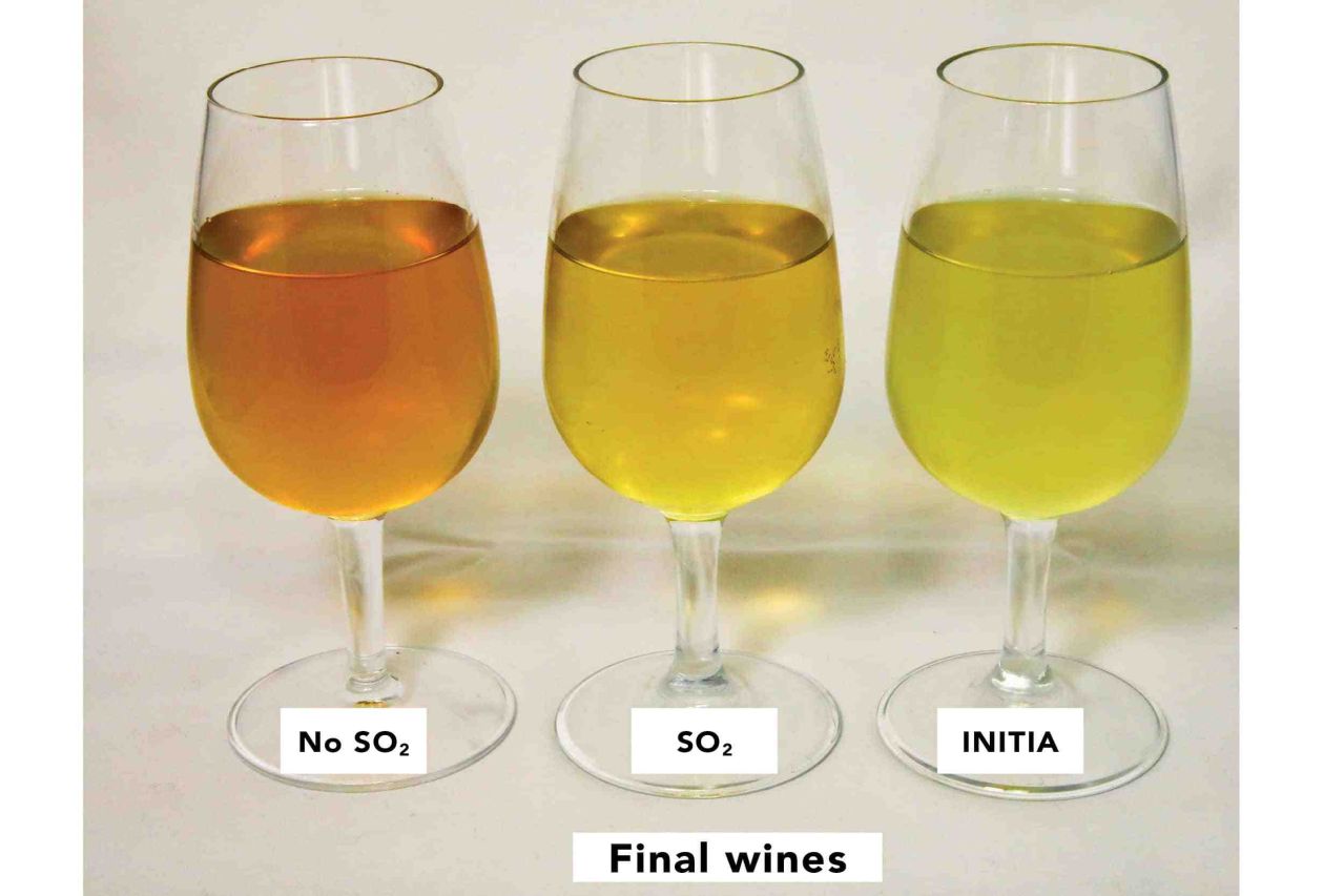 Level2 Initia Figure 2